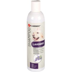 Shampoo Lavender 300ml                            