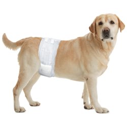 Diapers Dipy t/male dog 60-80c                    