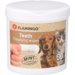 Clenning Wipes for Teeth 50stk                    