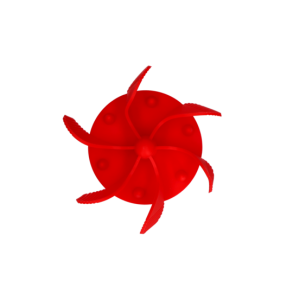 Eat Slow Live Longer Gobble St                    