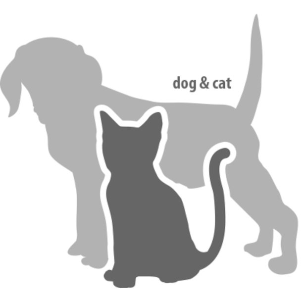 Ear Cleaner Squeeze Bottle                        