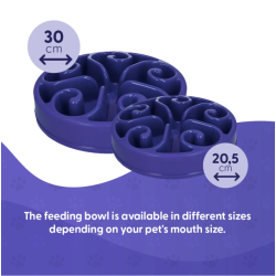 Eat Slow Live Longer Original                     