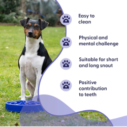 Eat Slow Live Longer Original                     