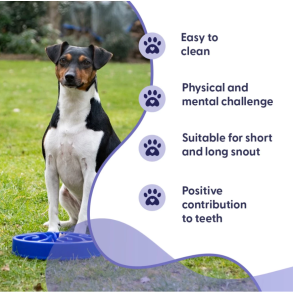 Eat Slow Live Longer Original                     