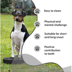 Eat Slow Live Longer Original                     