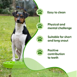 Eat Slow Live Longer Original                     