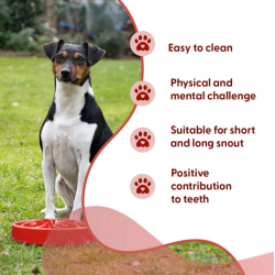 Eat Slow Live Longer Original                     