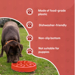 Eat Slow Live Longer Original                     