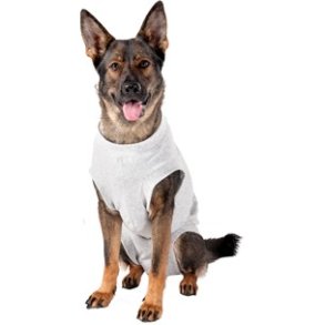 Safety Body Grey 68cm                             