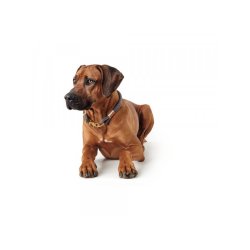 Hunter Halsbnd Sansibar 65cm                     