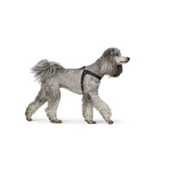 Hunter Sele Dimaro M-L sort                       