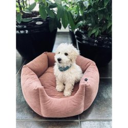 Hundeseng ComfyHex Rosa S                         