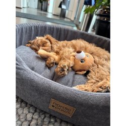 Hundeseng Ovie Koksgr� L                          