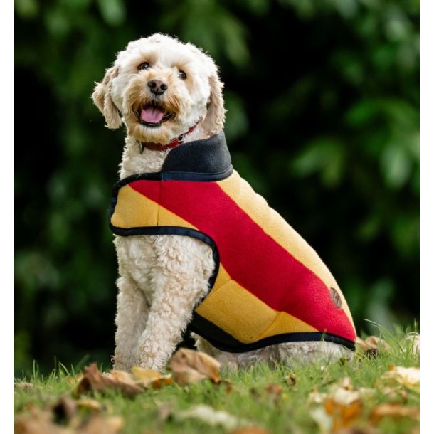 Rambo Deluxe dog rug M wh/gold                    