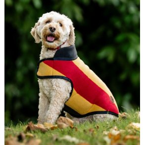 Rambo Deluxe dog rug L wh/gold                    