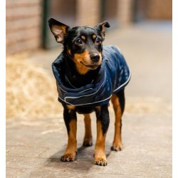 Horseware Dog 200g XL navy                        