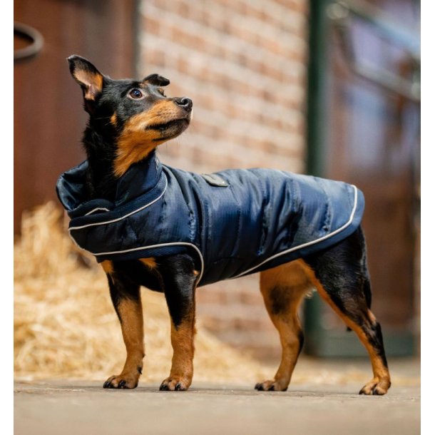 Horseware Dog 200g M navy                         