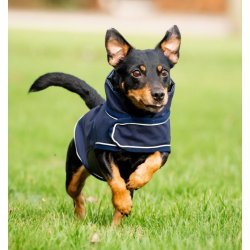 Horseware Rain dog 0g XL navy                     
