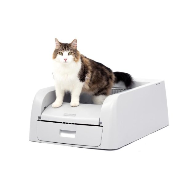 PetSafe Scoop-Free Auto Litter                    